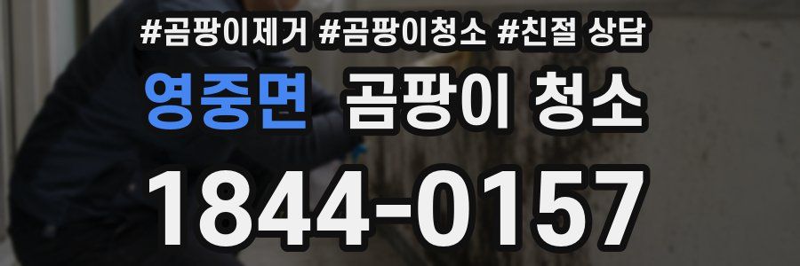 영중면 곰팡이 청소