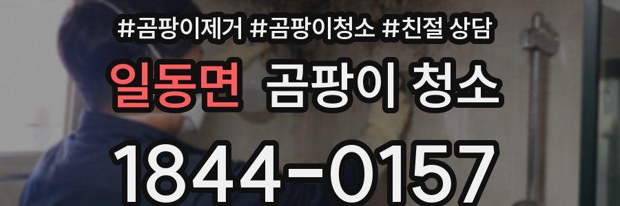 일동면 곰팡이 청소