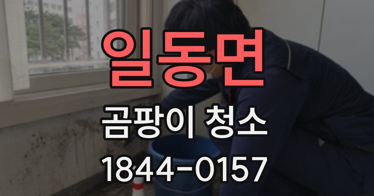 일동면 곰팡이 청소