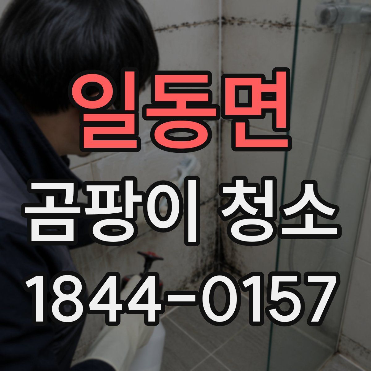 일동면 곰팡이 청소