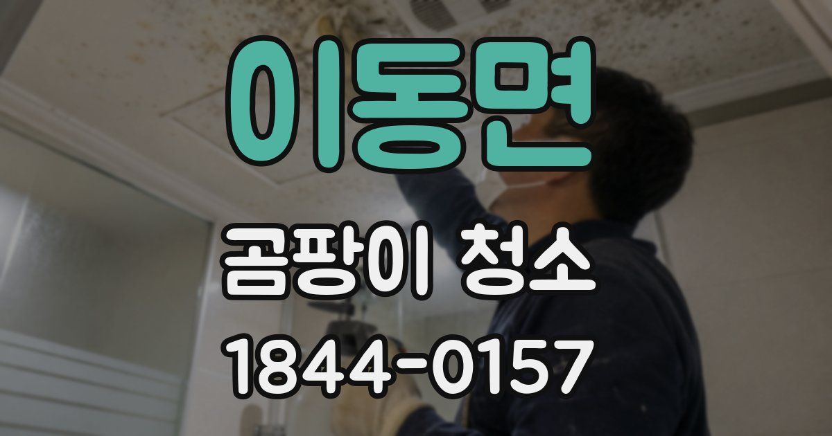 이동면 곰팡이 청소