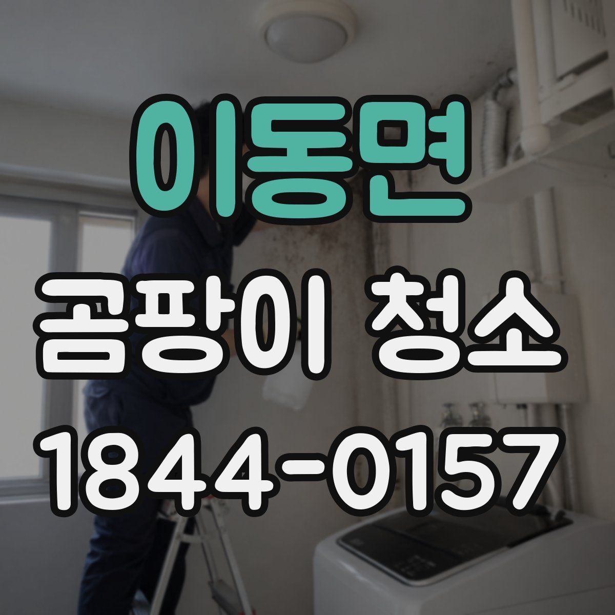 이동면 곰팡이 청소