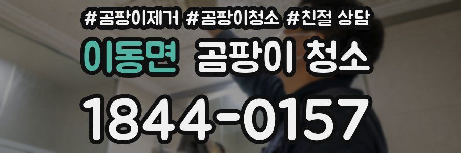 이동면 곰팡이 청소