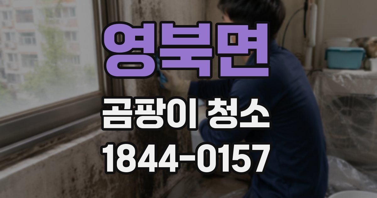 영북면 곰팡이 청소