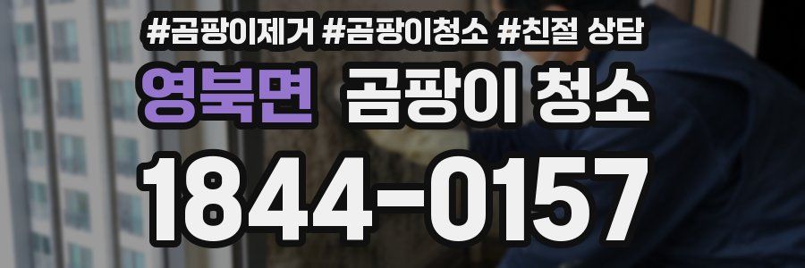 영북면 곰팡이 청소