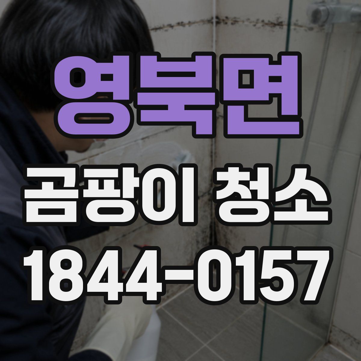영북면 곰팡이 청소