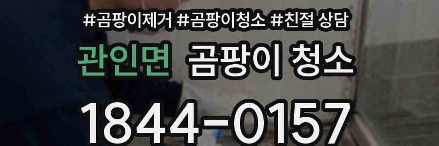 관인면 곰팡이 청소