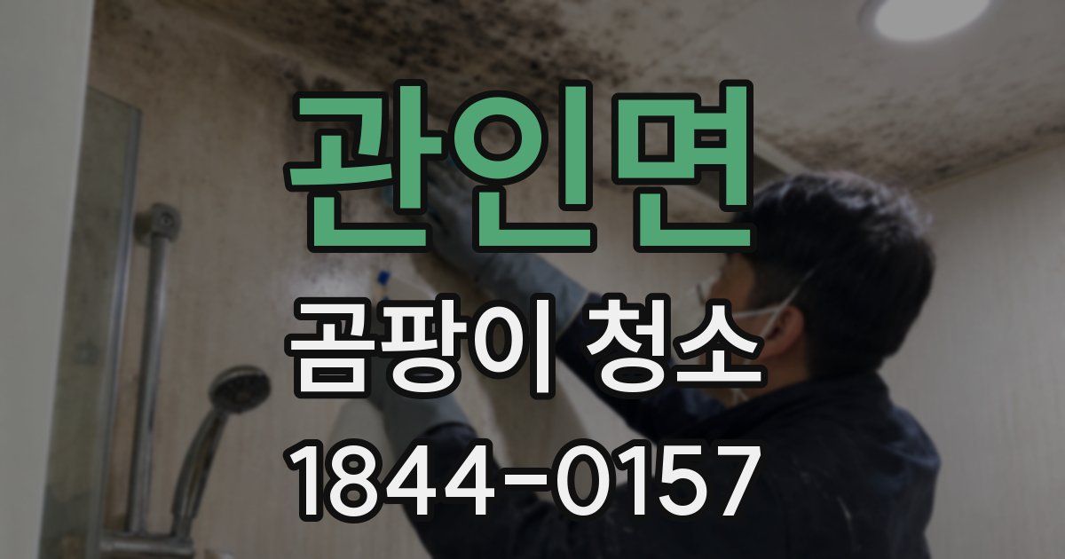 관인면 곰팡이 청소