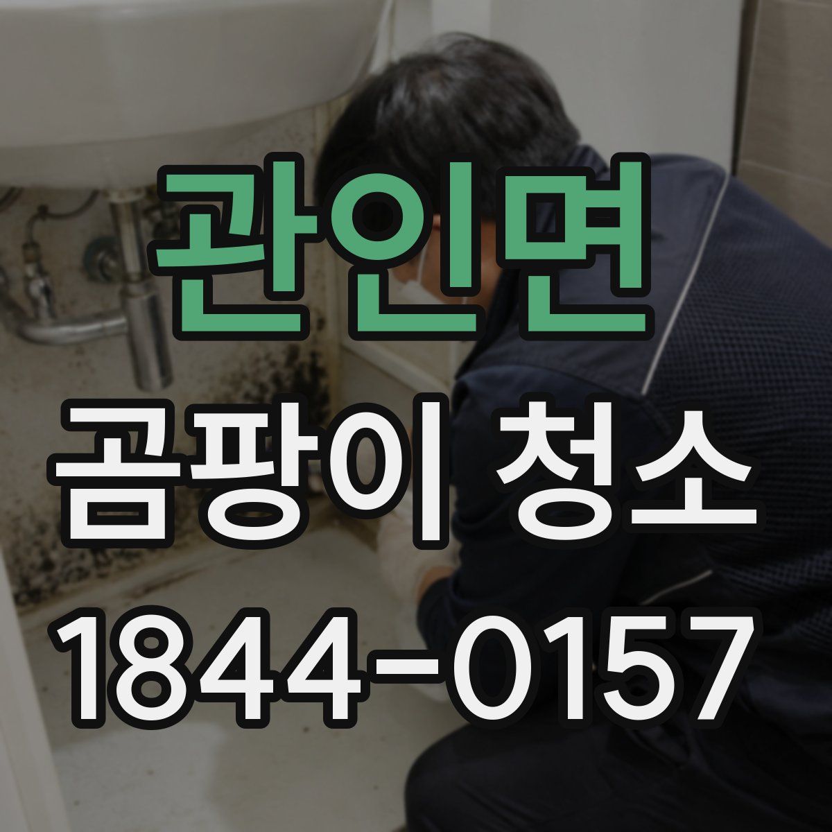관인면 곰팡이 청소