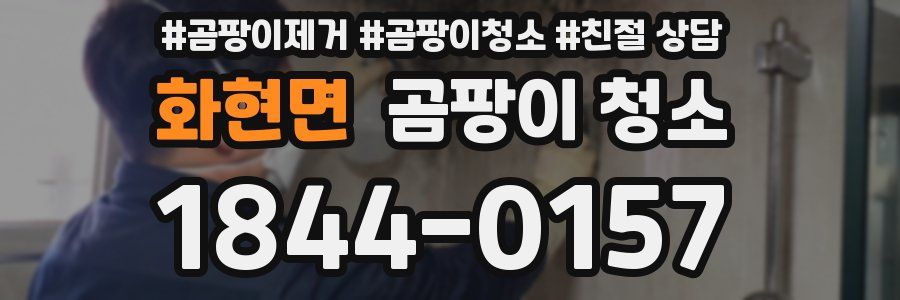 화현면 곰팡이 청소