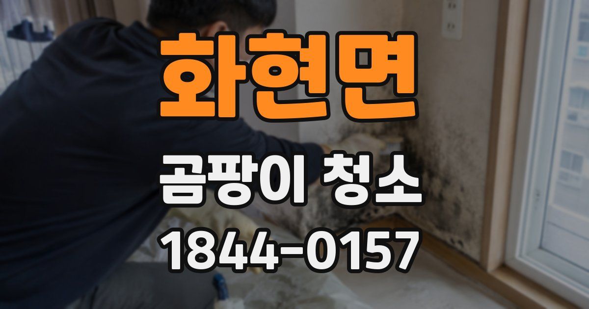 화현면 곰팡이 청소