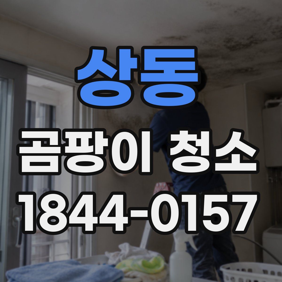 상동 곰팡이 청소