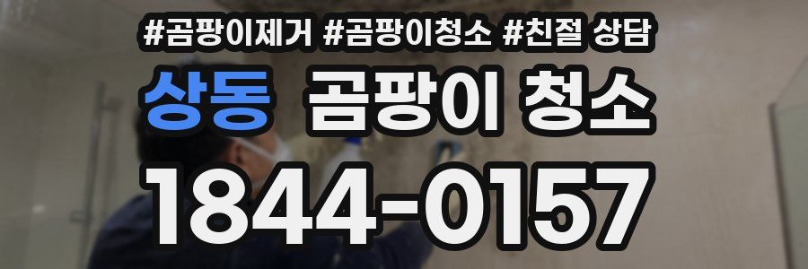 상동 곰팡이 청소