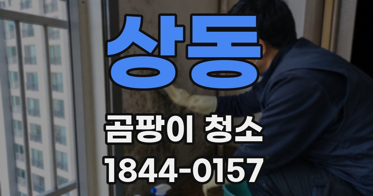 상동 곰팡이 청소