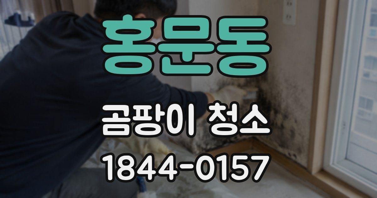홍문동 곰팡이 청소