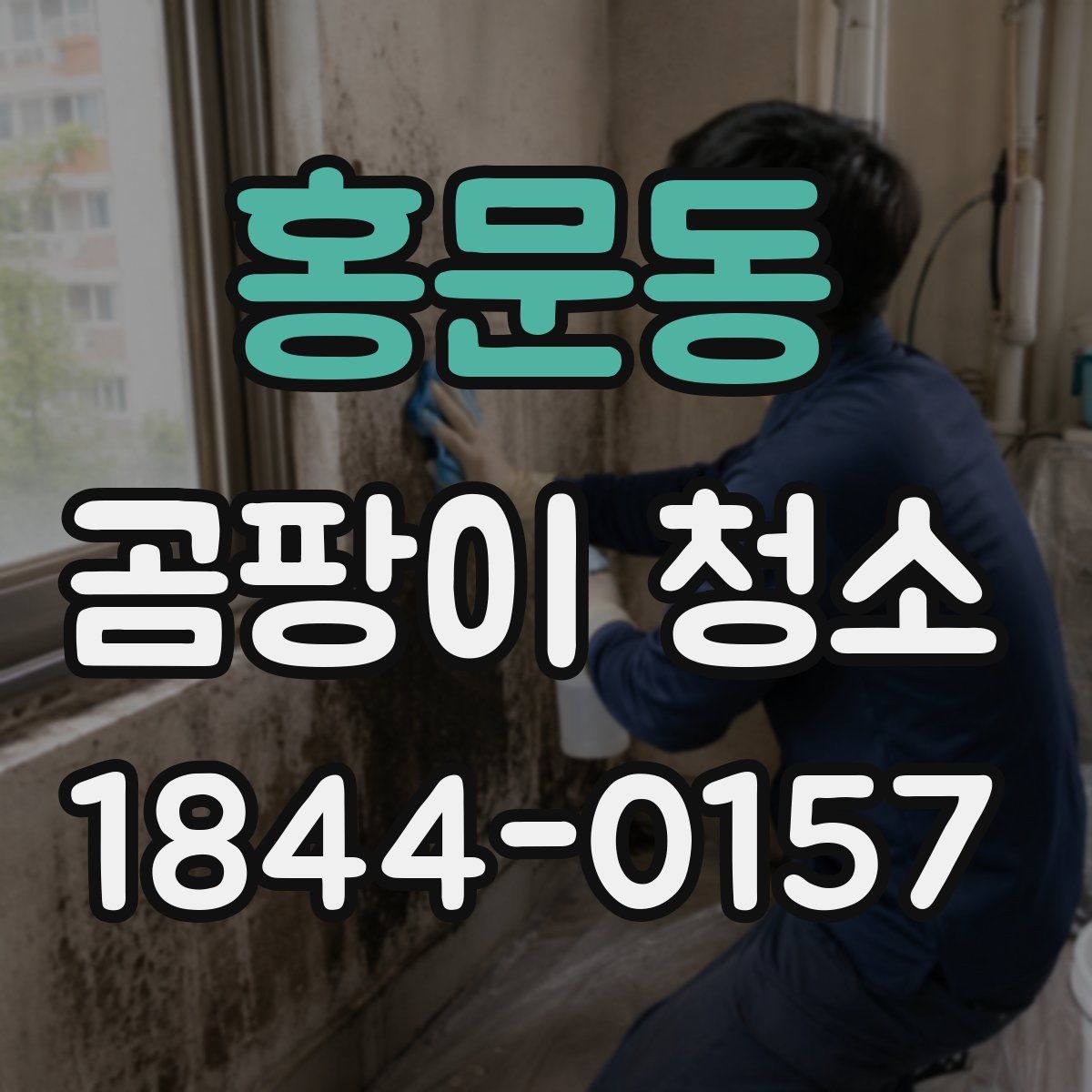홍문동 곰팡이 청소
