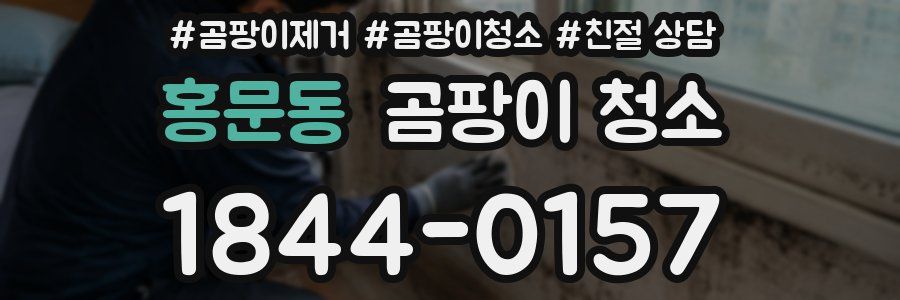 홍문동 곰팡이 청소