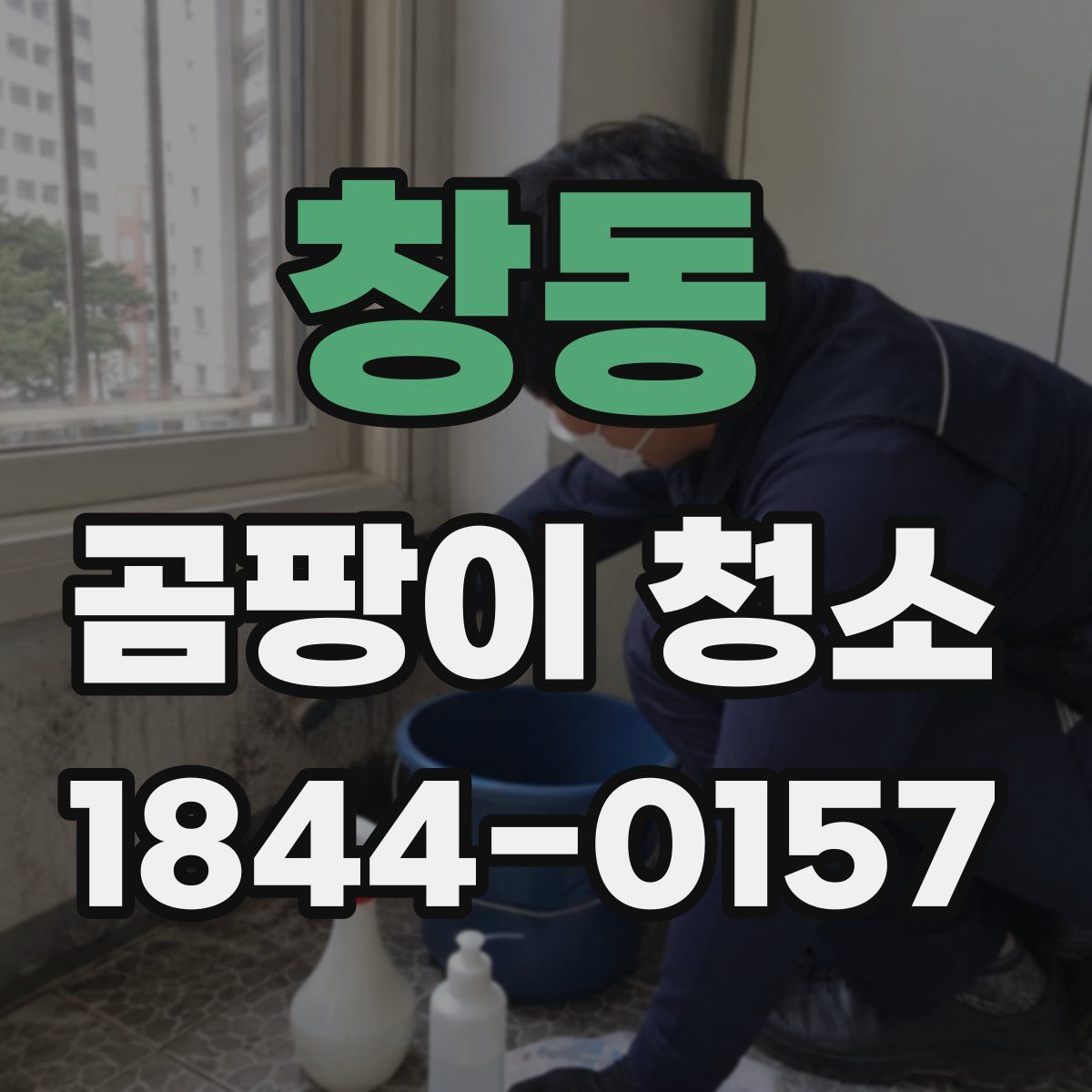 창동 곰팡이 청소
