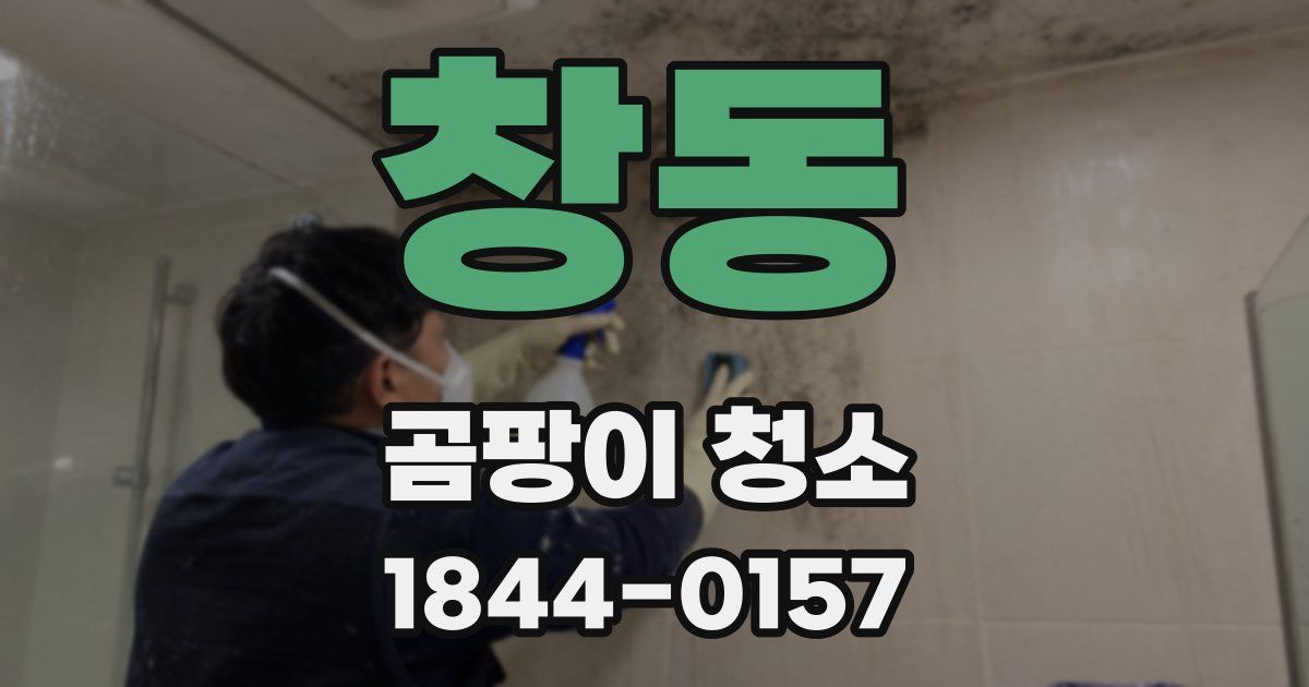 창동 곰팡이 청소