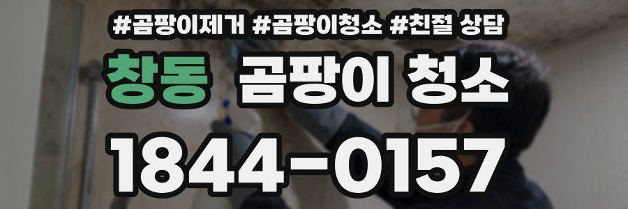 창동 곰팡이 청소