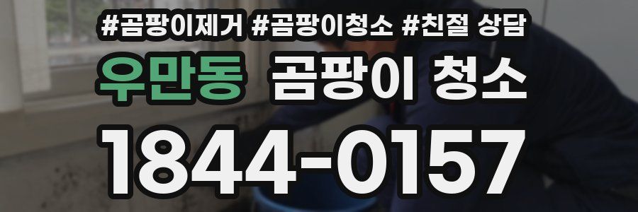 우만동 곰팡이 청소