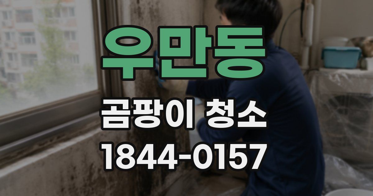 우만동 곰팡이 청소