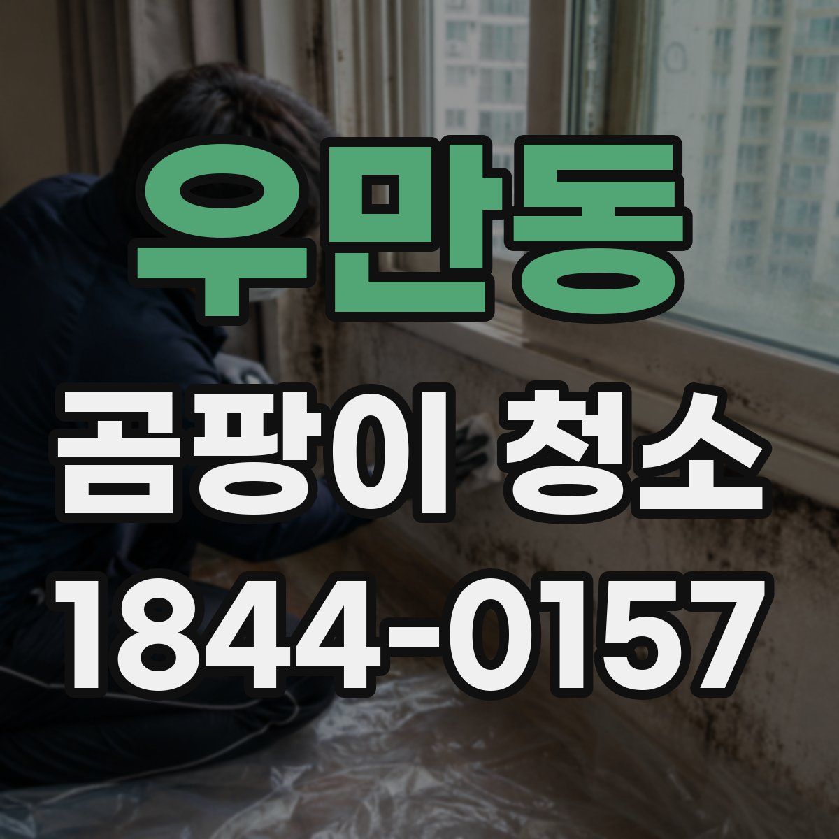 우만동 곰팡이 청소