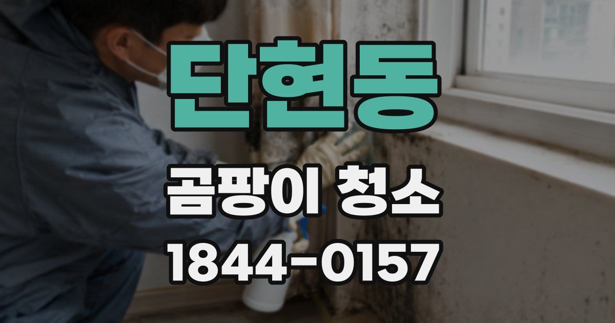 단현동 곰팡이 청소