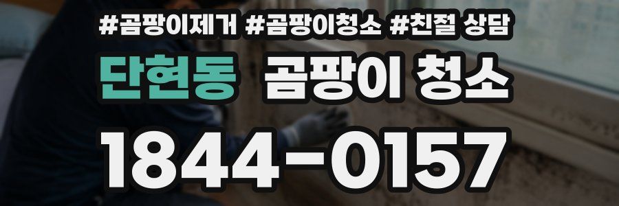 단현동 곰팡이 청소