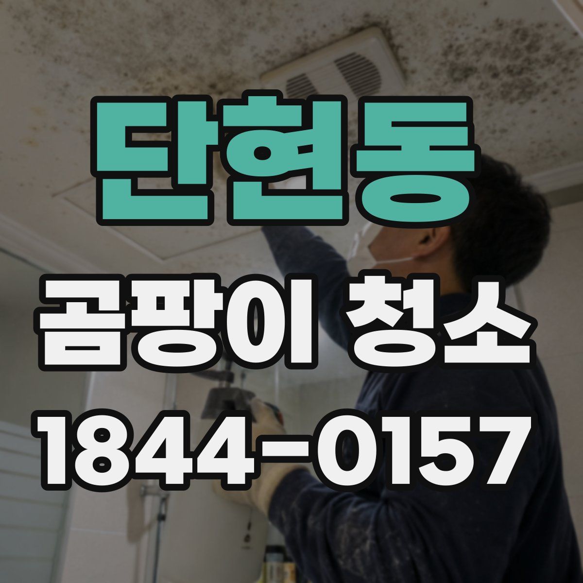 단현동 곰팡이 청소