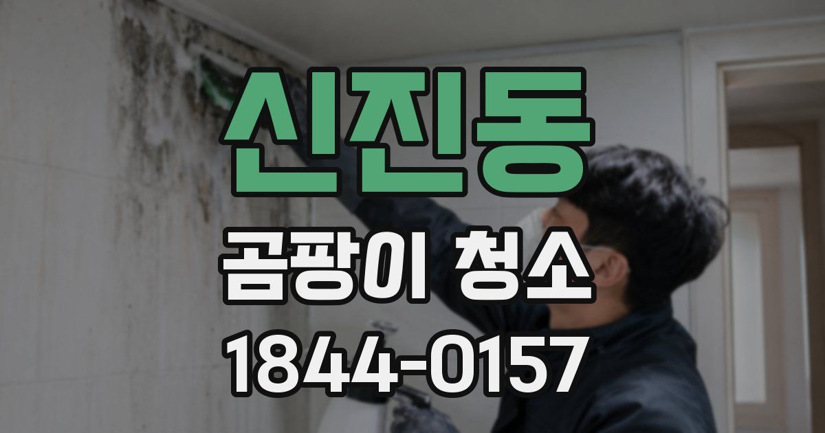 신진동 곰팡이 청소