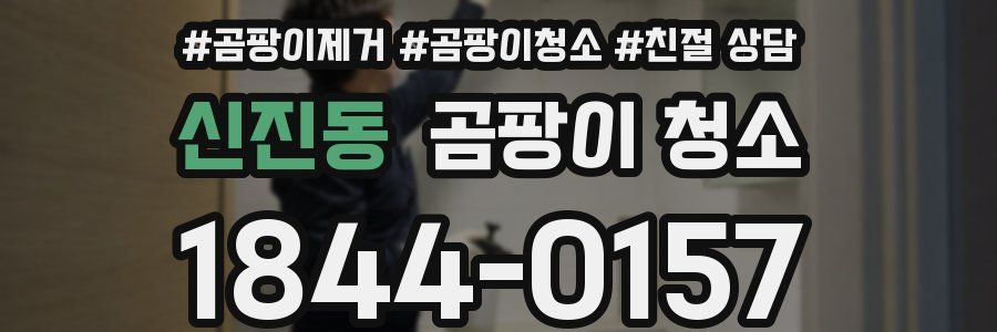 신진동 곰팡이 청소