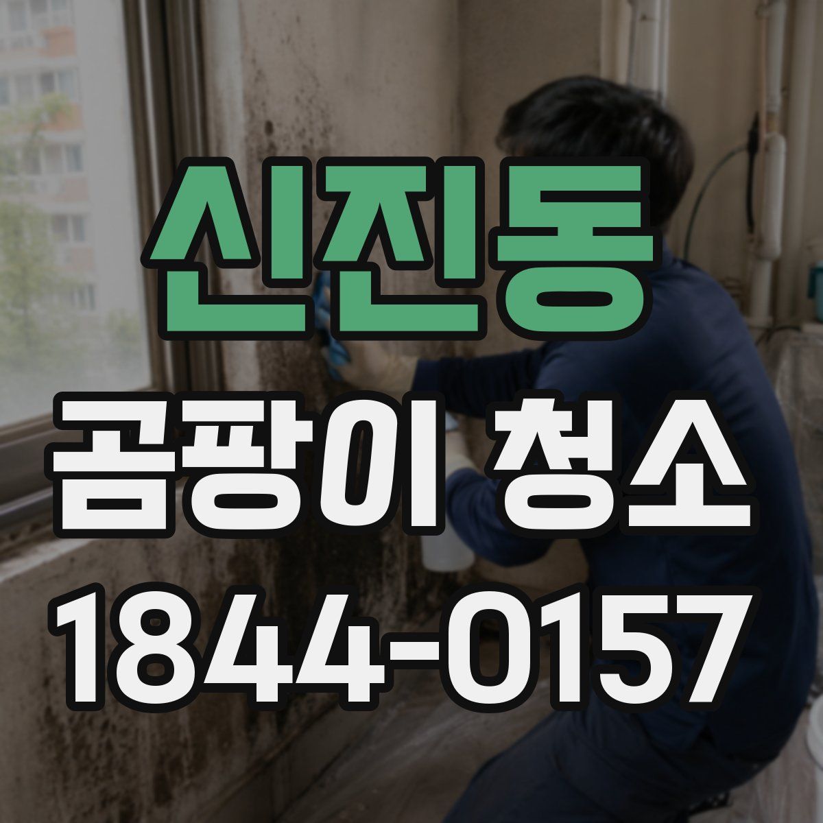 신진동 곰팡이 청소