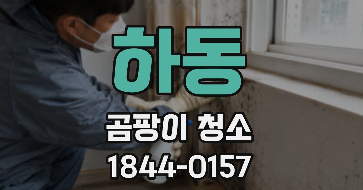 하동 곰팡이 청소