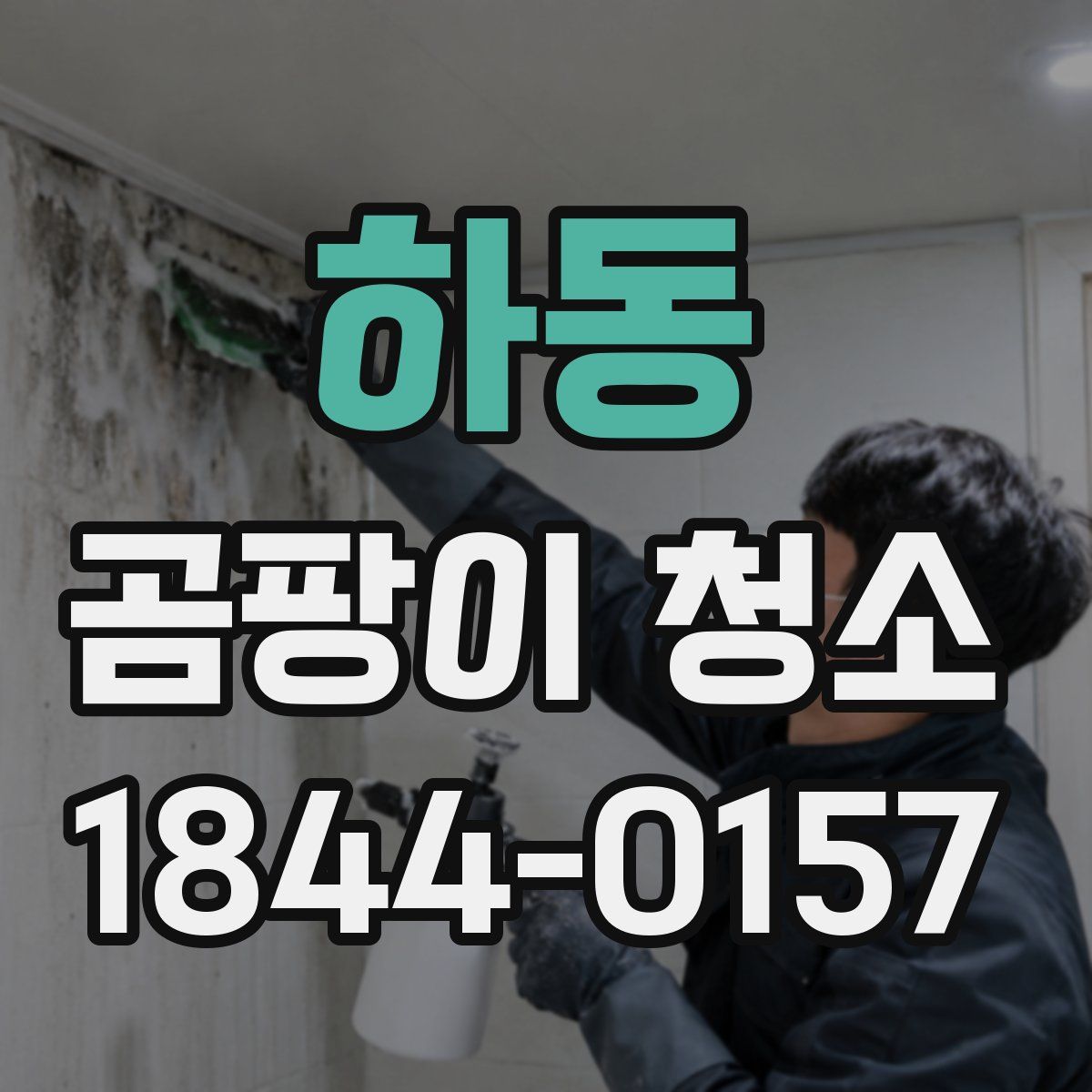 하동 곰팡이 청소