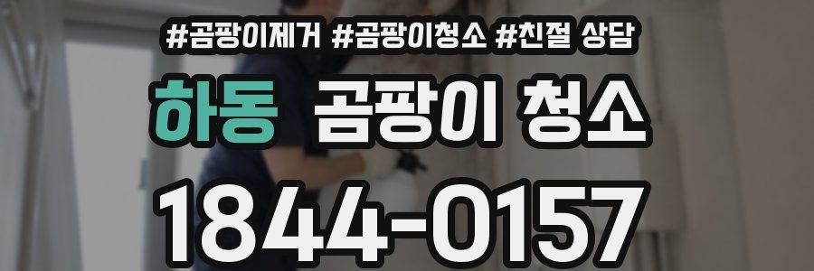 하동 곰팡이 청소