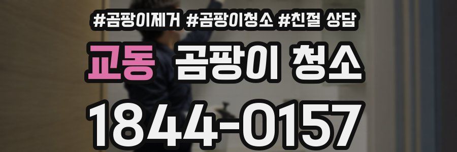 교동 곰팡이 청소