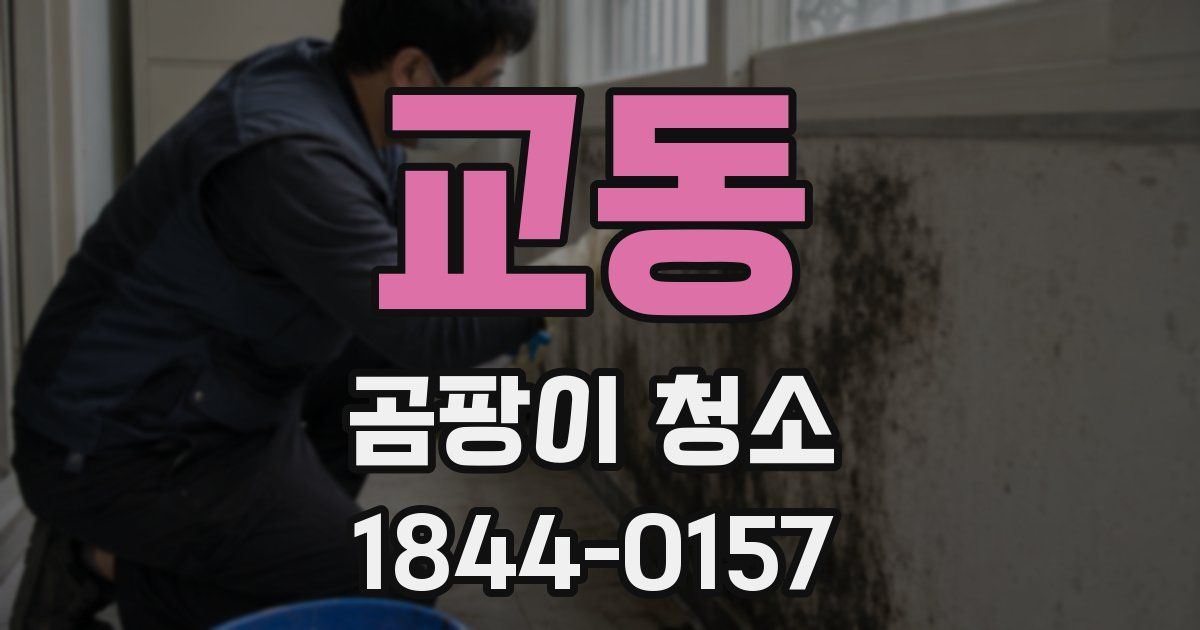 교동 곰팡이 청소