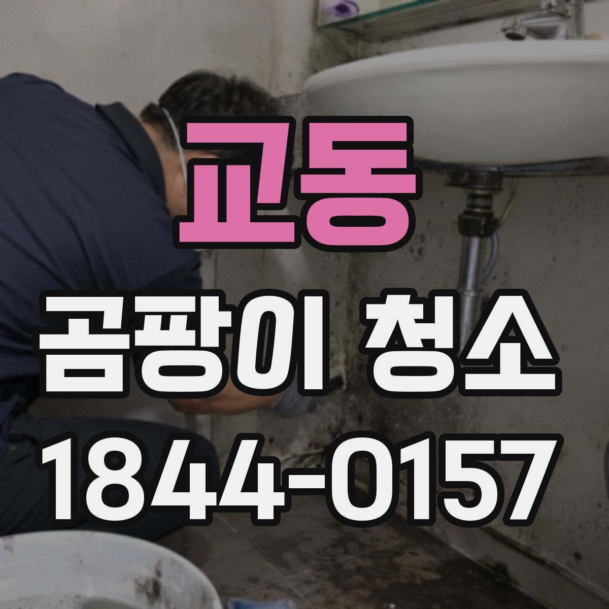 교동 곰팡이 청소
