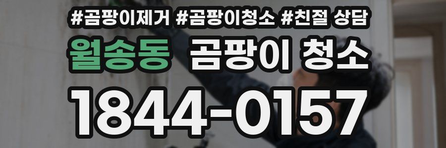월송동 곰팡이 청소