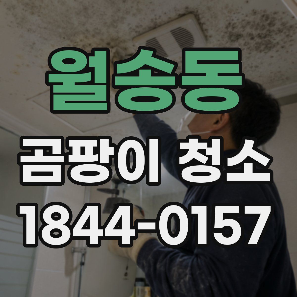 월송동 곰팡이 청소