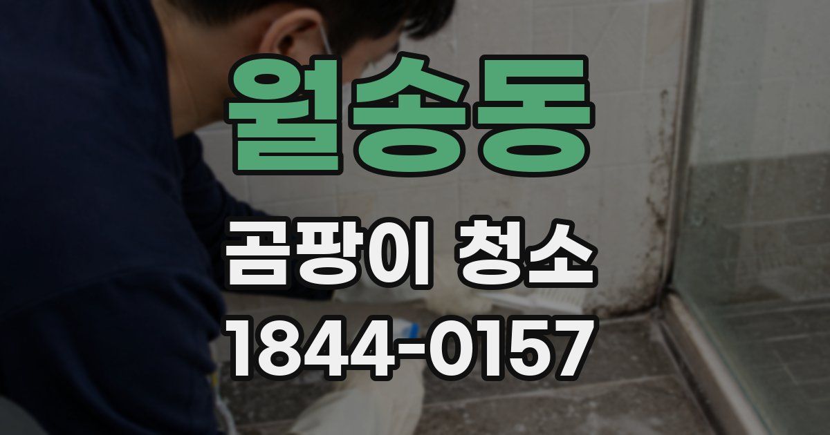 월송동 곰팡이 청소