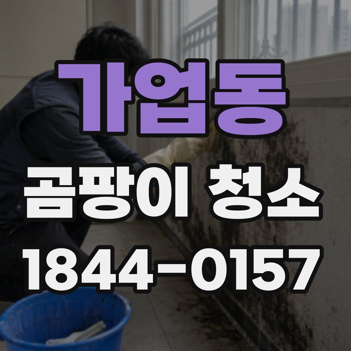 가업동 곰팡이 청소