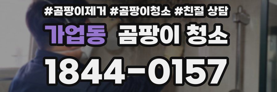 가업동 곰팡이 청소