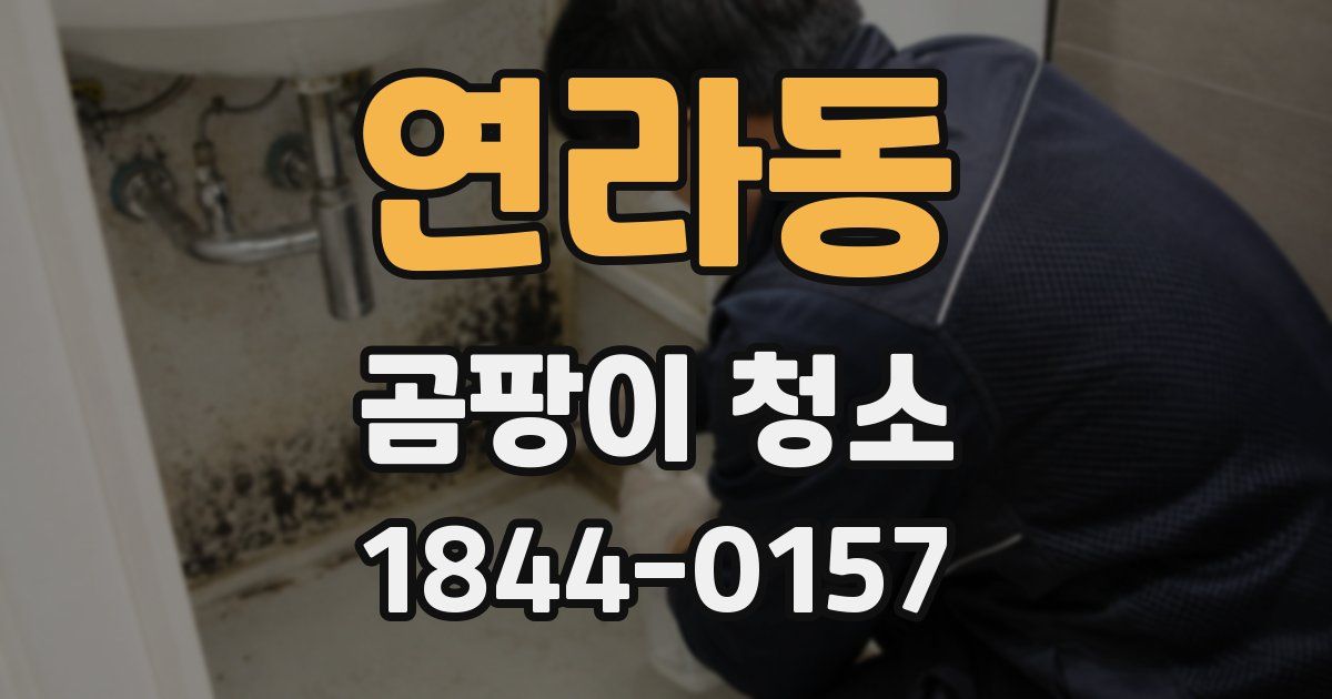 연라동 곰팡이 청소