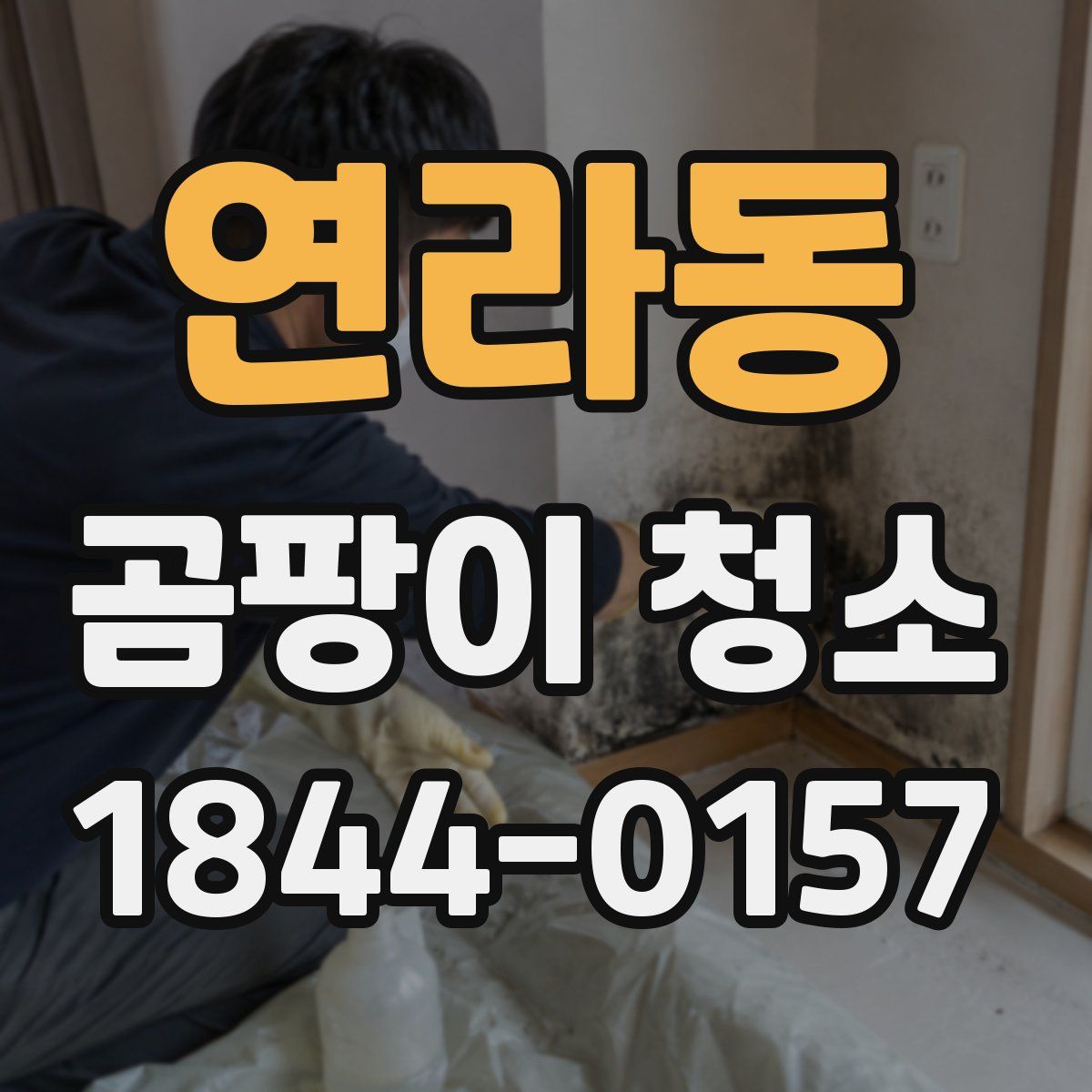 연라동 곰팡이 청소