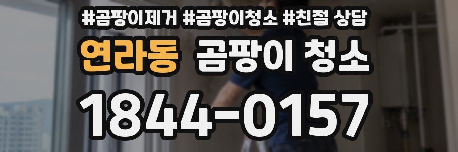 연라동 곰팡이 청소