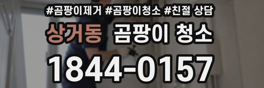 상거동 곰팡이 청소