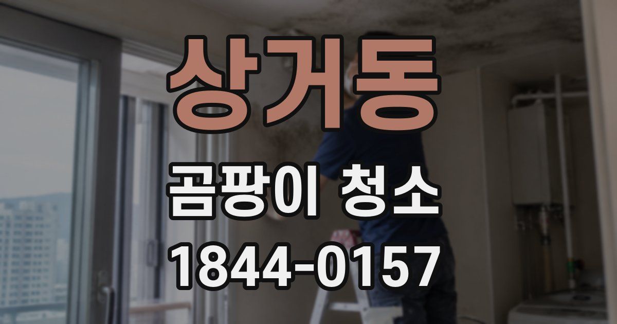 상거동 곰팡이 청소