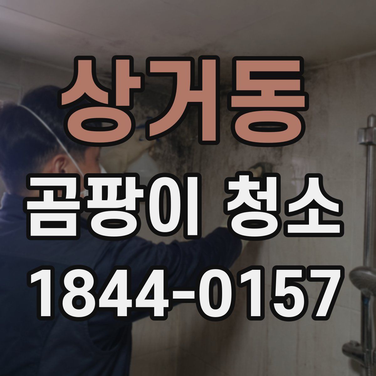 상거동 곰팡이 청소